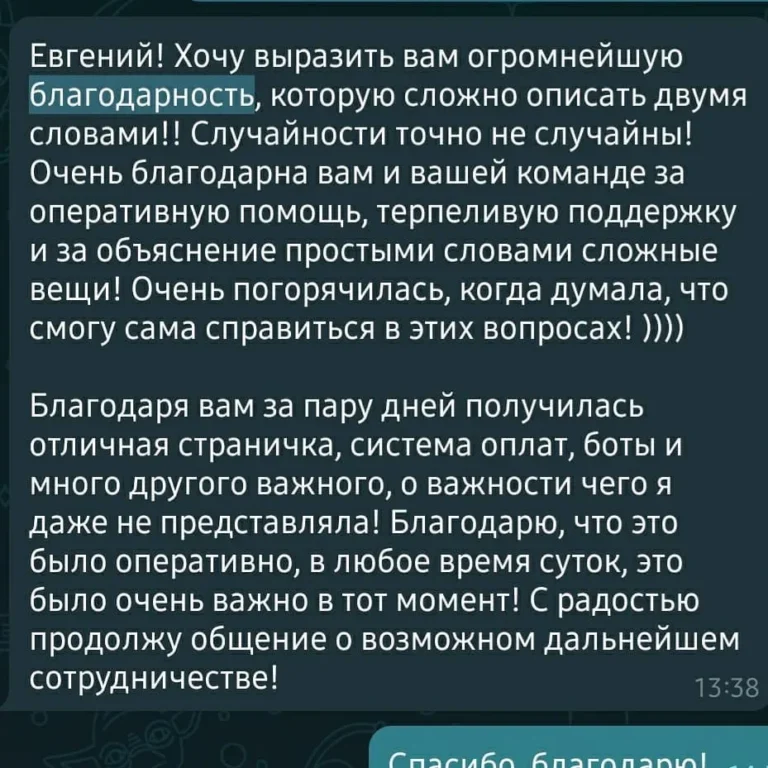 Кейс_по_созданию_лендинга_для_продажи_арт_книги_'Мир_Эмоций'_Евгения